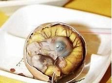 女人吃活珠子的营养价值