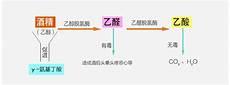 氨基丁酸能治疗焦虑症吗
