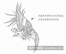 凤凰图片铅笔绘画