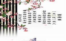 一生一代一双人啥意思