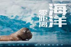 全球零距离在线观看央视网